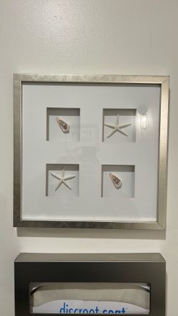 Sea shells in  frame