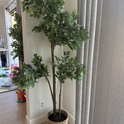 IKEA Artificial Potted Plants with pots(Set of 2)