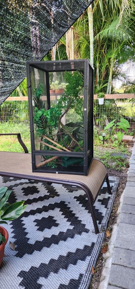 Reptile, Chameleon Home And Accessories