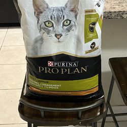 Cat Food 