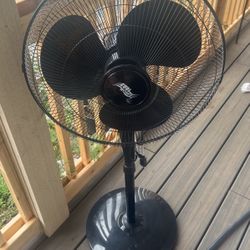 Fan 