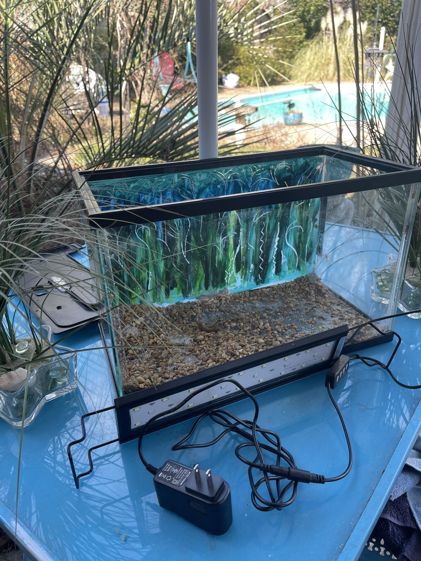 10 Gal Aquarium