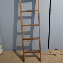 Ladder For Bunk Beds