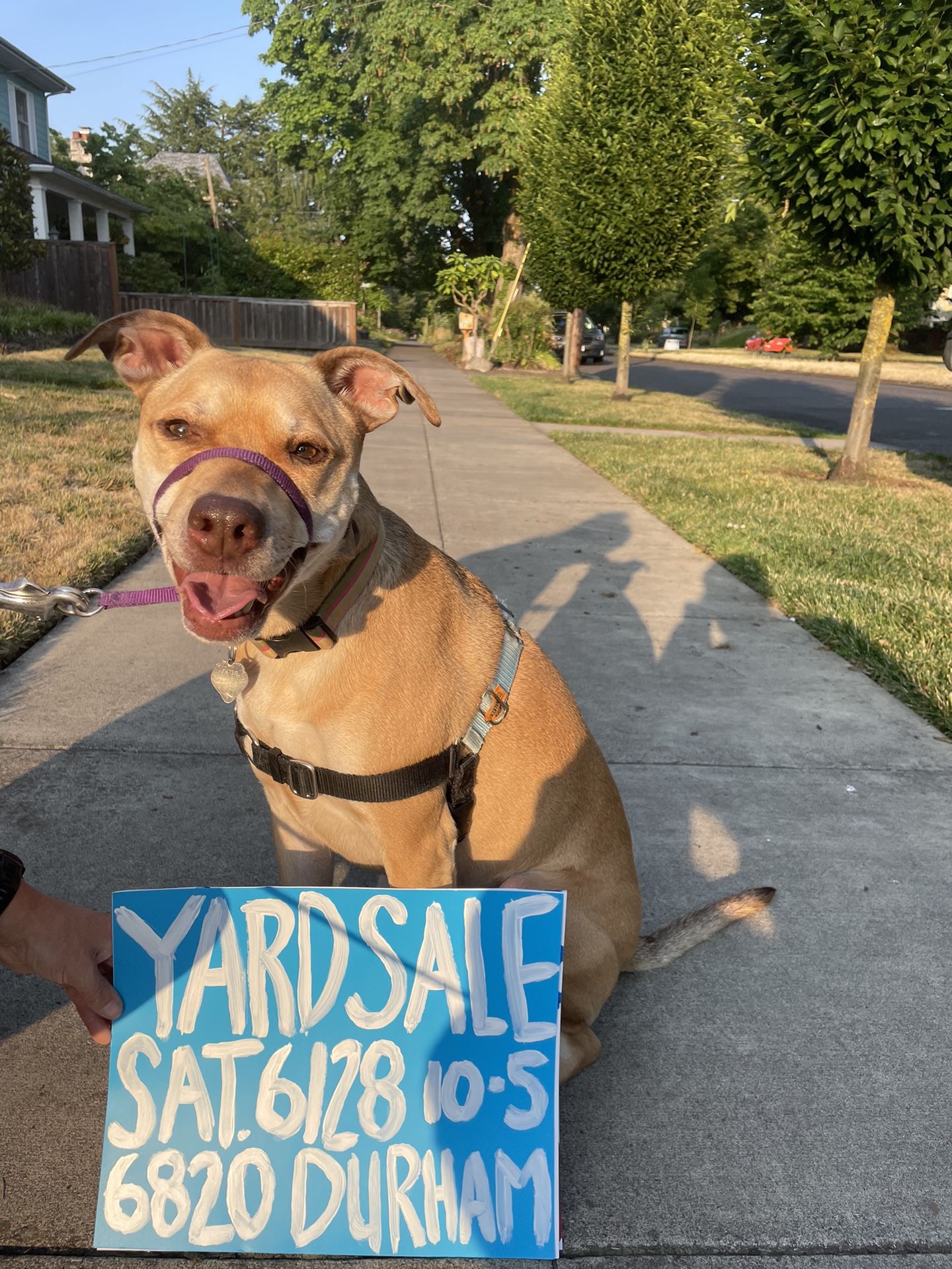 Garage Sale Saturday 6/28 10-5