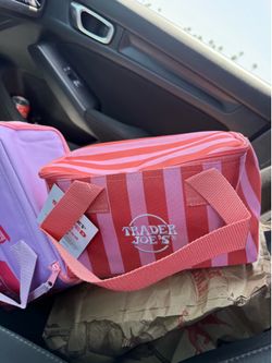 Summer fun Trader Joe’s mini insulated bags