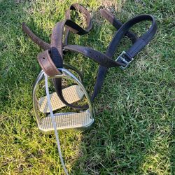 Stirrup Leathers(48) And Irons (4.25”)