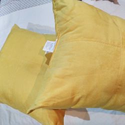 Pillows 24x24