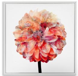 12x12 Bloom Dahlia Flower