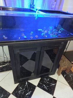 60 gallon  frag  tank
