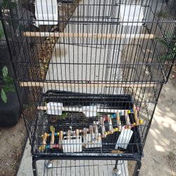Brid Cage 