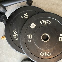 10 LB Weight Plates For $35