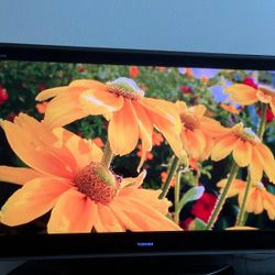 50 Inch Toshiba Tv available For Sale In Plano