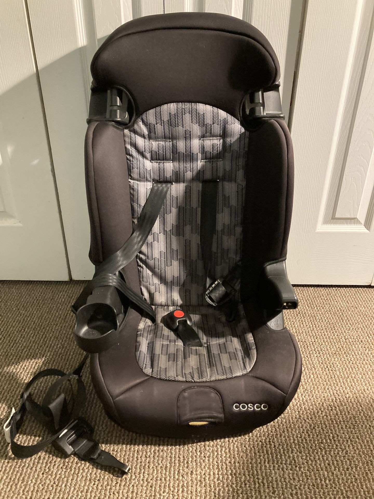 Cosco Booster Seat!