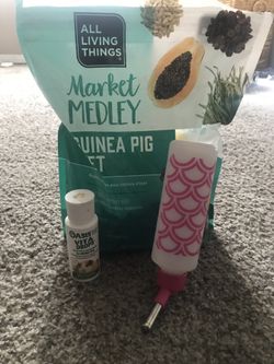 Guinea pig supplies
