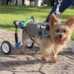 Adjustable Dog Wheelchair  for Back Legs, Stable Dog Cart for Disabled Hind Legs, Help Small Pets with Paralyzed Hind Legs Regain Mobil