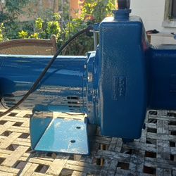 Pentair Sta-Rite 1hp shallow jet pump