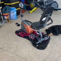 Marcy Recumbent Bike 
