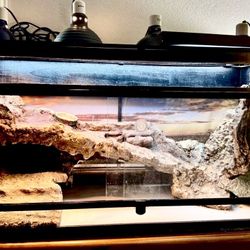 Lizard Tank