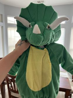 Dinosaur Baby Costume