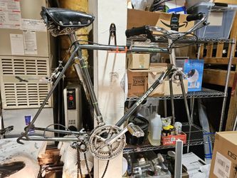 Vintage Schwinn Taveler