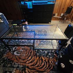 Glass Coffee Table