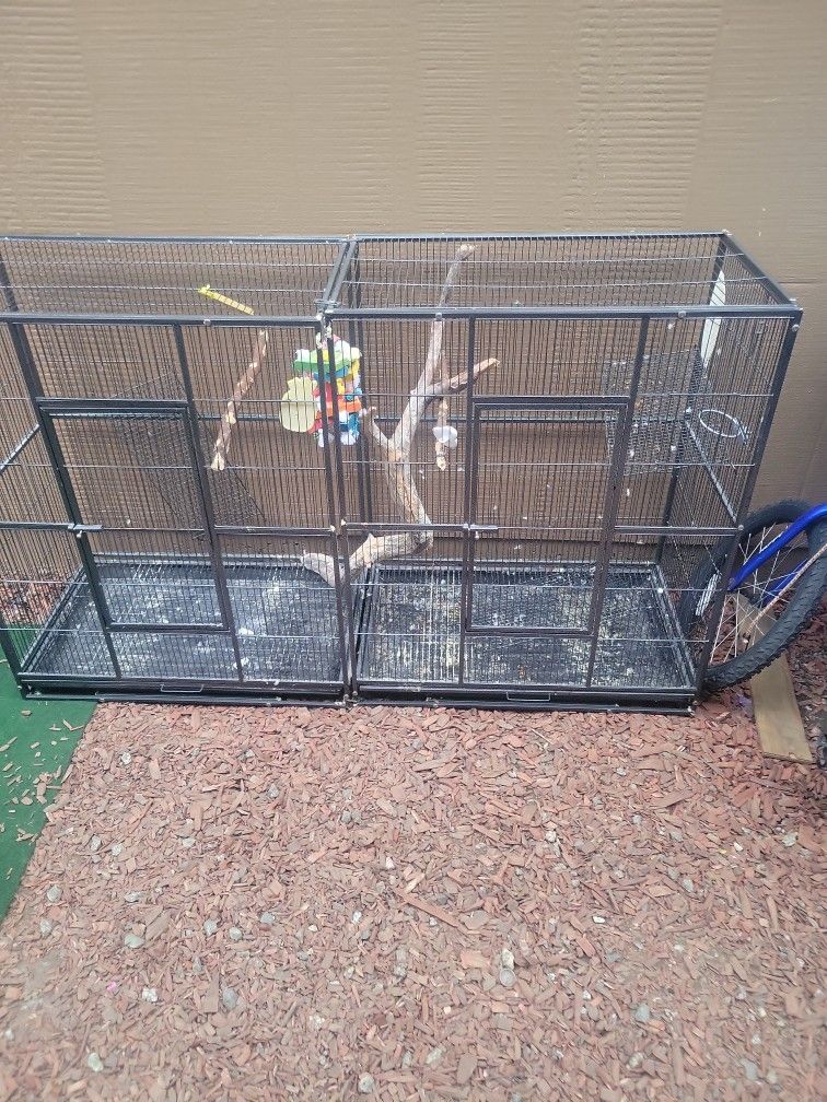 Bird  Cage