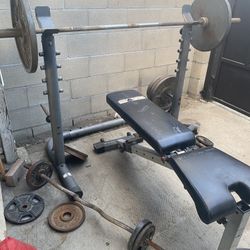 Bench Press + Curl Bar 