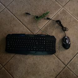 Mouse And Keyboard
