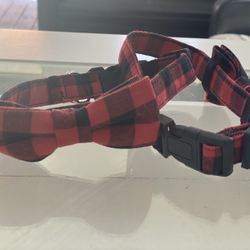 Dog Collars