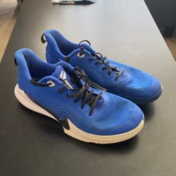 Kobe “Mamba Fury”