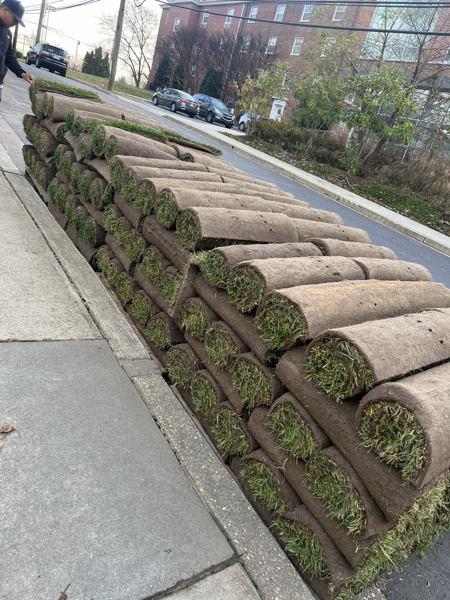 Fresh Sod