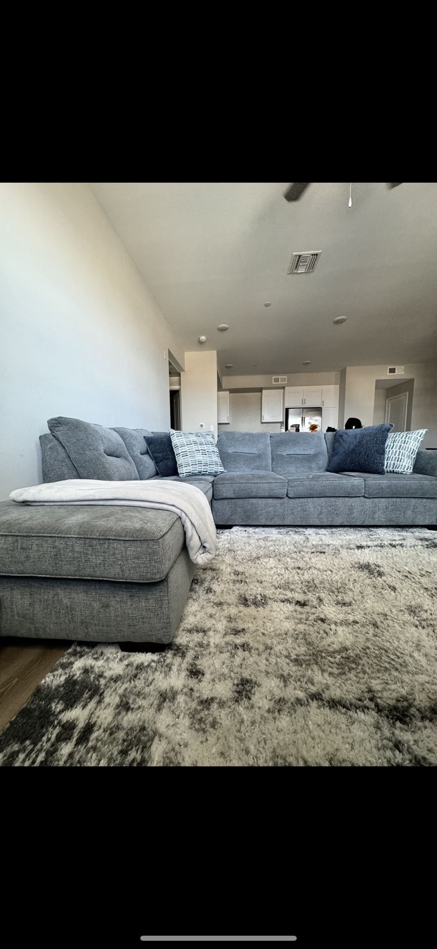 Grey Sectional Couch