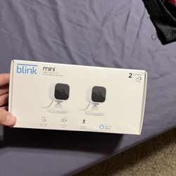 Blink Mini Cameras