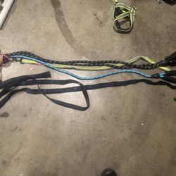 Dog leash