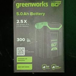 Greenworks  Ultra Power 60 Volt-5.0 Ah Battery-300 Max Wh