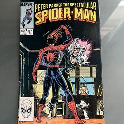 Spectacular Spider-Man #87