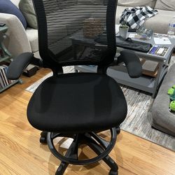 Ergonomically Correct Office Chair 