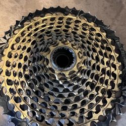 12 Speed Cassette. 