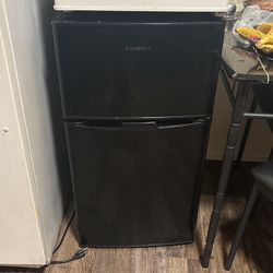 Bangson Room Sized Refrigerator And Extra Mini Fridge