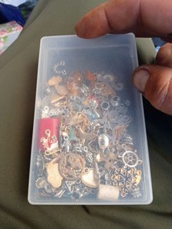 Bulk Jewelry Charms Lot - Huge Variety Mixed Pendants & Storage Case