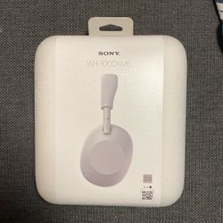 Sony WH1000XM6 Platinum Silver