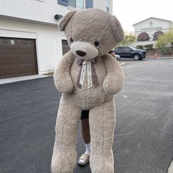 Giant Bear 