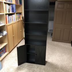 Black Bookshelf With Doors