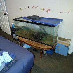 50 Gallon Fish Tank