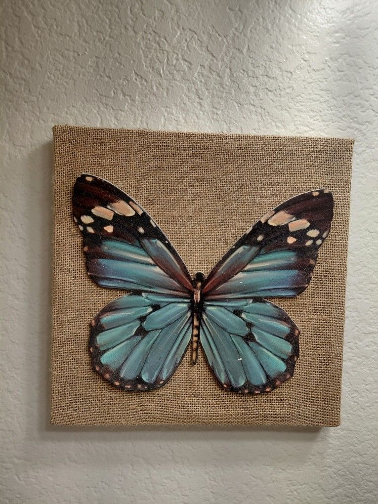 Butterfly Picture Fram