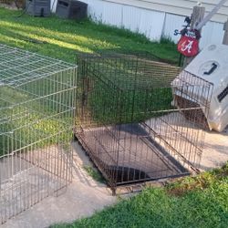 Dog Cages