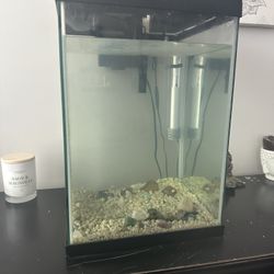 Fish Tank 