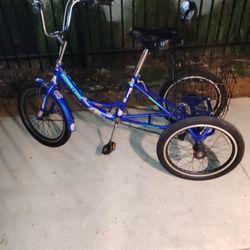 Mongoose And It's Nice Really Don't Need Nothing But A Home 