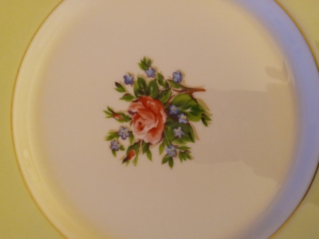 Just In Time For Thanksgiving. A Set For Eight Of Fine China Romance Rose.