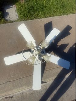 52-inch white ceiling fan with 5 blades and a 4-light tulip glass light kit